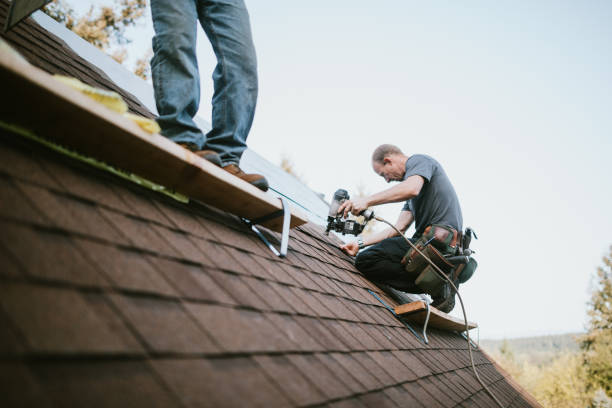 Best Storm Damage Roof Repair  in Blaine, TN