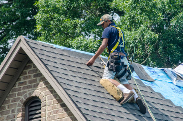 Quick and Trustworthy Emergency Roof Repair Services in Blaine, TN